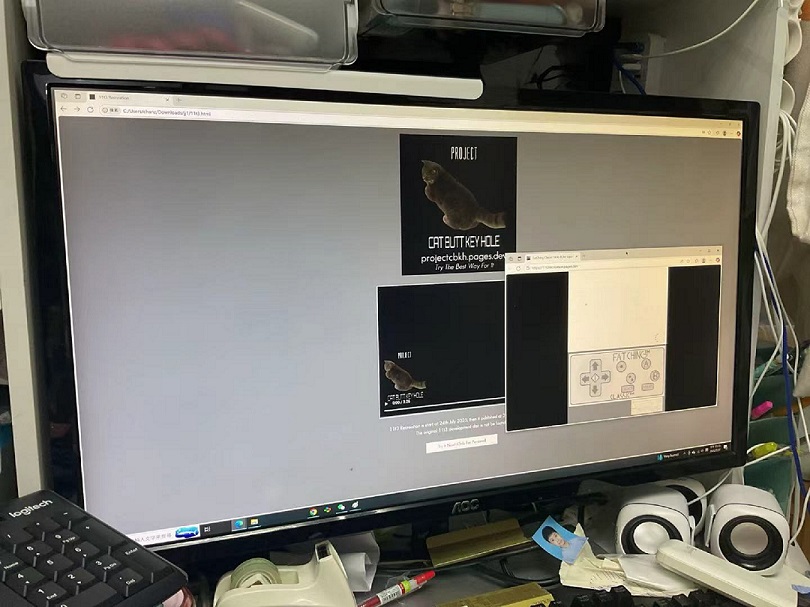 Project CatButtKeyHole Photo