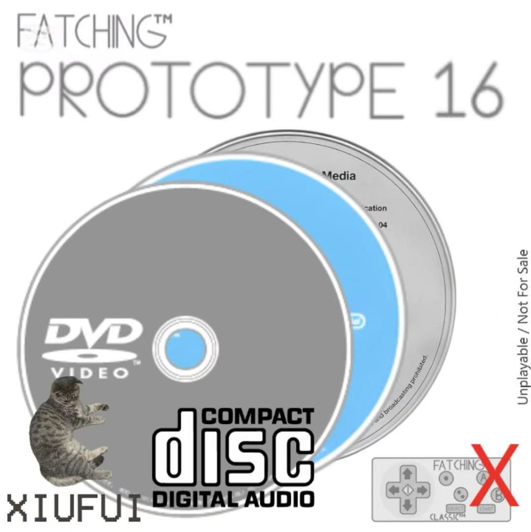 FatChing Prototype 16 Project CBKH Build